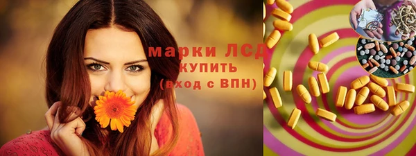 СК Горнозаводск