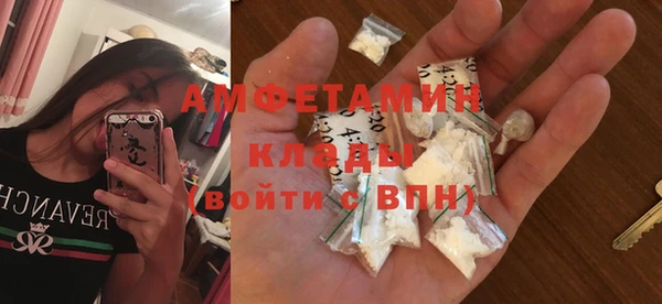 ГАЛЛЮЦИНОГЕННЫЕ ГРИБЫ Горняк