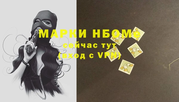 СК Горнозаводск