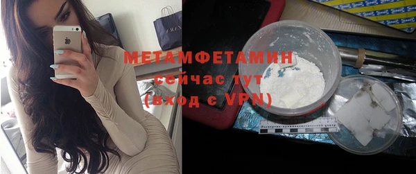 ГАЛЛЮЦИНОГЕННЫЕ ГРИБЫ Горняк