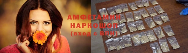 ГАЛЛЮЦИНОГЕННЫЕ ГРИБЫ Горняк