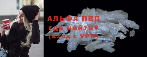 ГАЛЛЮЦИНОГЕННЫЕ ГРИБЫ Горняк