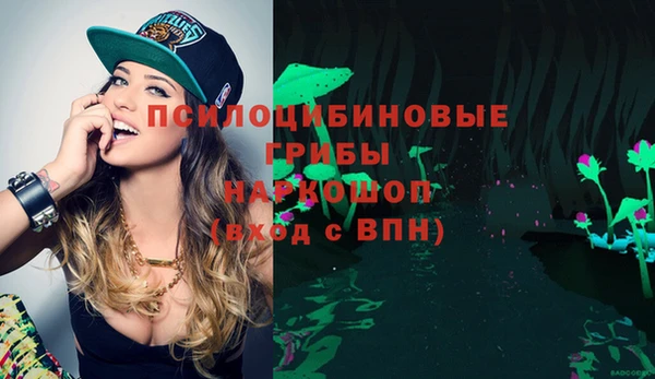 СК Горнозаводск