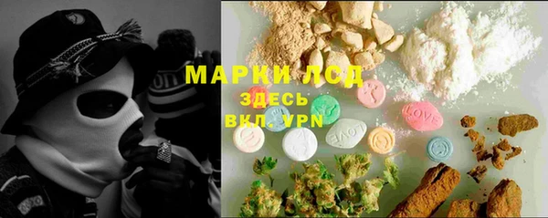 ГАЛЛЮЦИНОГЕННЫЕ ГРИБЫ Горняк