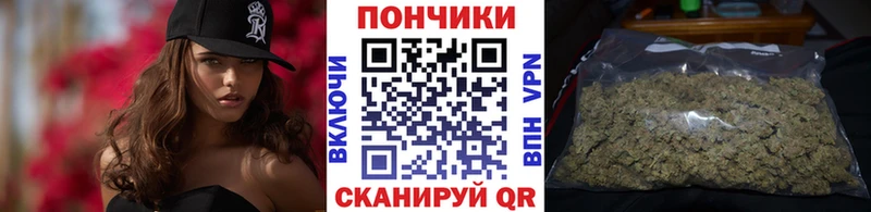 Купить  Городище  Шишки марихуана SATIVA & INDICA 